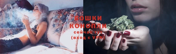 мет Касимов