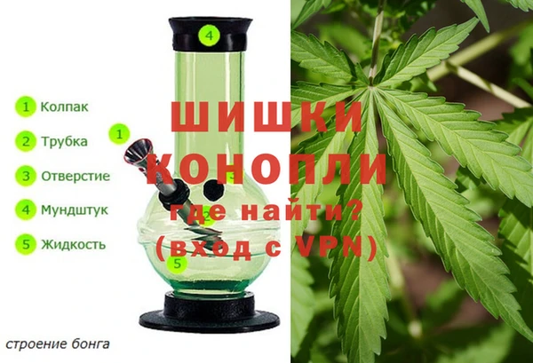 дмт Карпинск