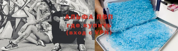 мет Касимов