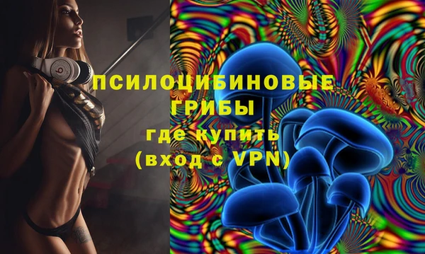 дмт Карпинск