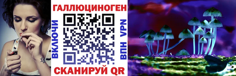 Псилоцибиновые грибы MAGIC MUSHROOMS  Купить закладки  Удачный 